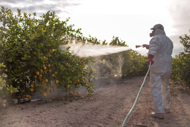 Best Cockroach Control Services  in Rehobeth, AL