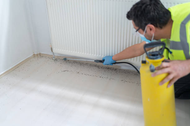 Best Best Pest Control Companies  in Rehobeth, AL