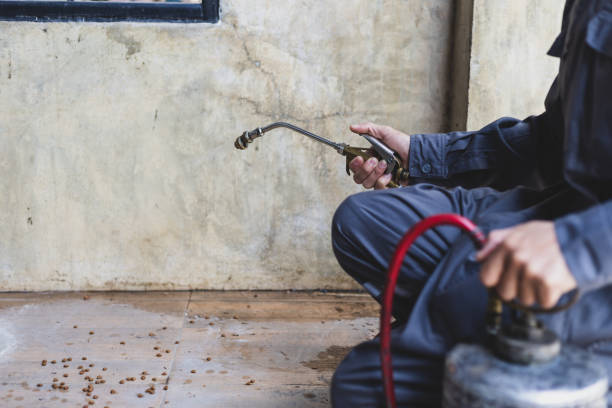 Best Residential Pest Control  in Rehobeth, AL
